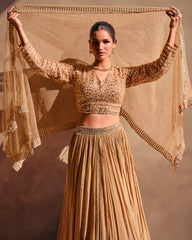 Exclusive designer pure chinon lehenga with detailed embroidery and latest design