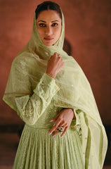 Designer pastel shaded green pure georgette dress with detailed Lucknowi embroidery dress gown