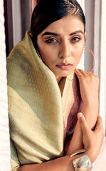 Pure Kanjivaram pastel green light shaded weaving silk handloom saree with contrasting dark border