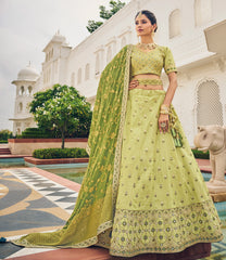 Designer Green Lehenga on viscos and Gaji Siburi duppatta with detailed embroidery and hand work