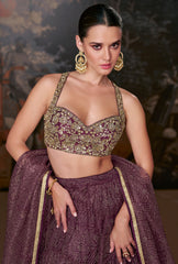 Designer lehenga on banglori silk blouse and pure organza silk with detailed embroidery